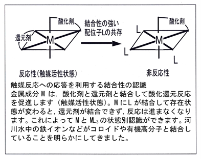 超高感度な環境分析・材料分析法の開発