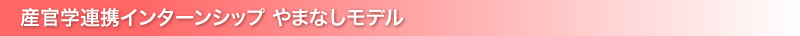 産官学連携インターンシップ やまなしモデル