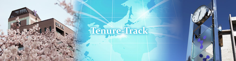 University of Yamanashi. Program to Disseminate the Tenure Tracking System