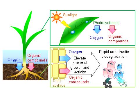 遠山 忠助教（先端領域若手研究リーダー育成拠点）が日本水環境学会　論文奨励賞（廣瀬賞）を受賞