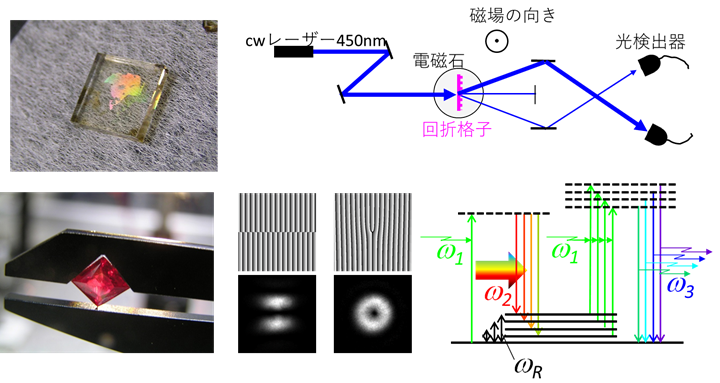 誘電体と光との新規相互作用に関する研究