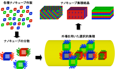 ユビキタス材料としてのナノキューブ集積結晶で未来を開く