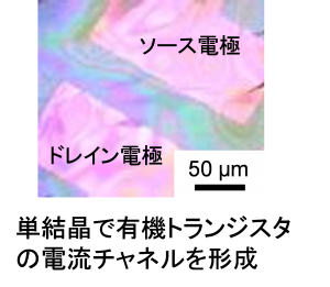 有機半導体を用いた環境にやさしいエレクトロニクスの構築