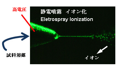 超大気圧イオン源を用いた質量分析の研究