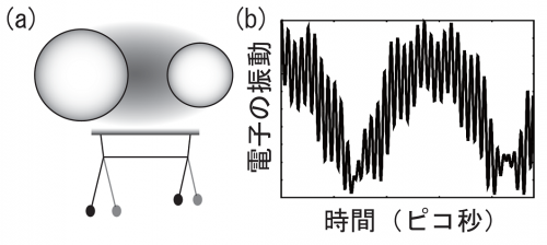 ナノ領域における光と電子の結合がもたらす新奇現象の物理