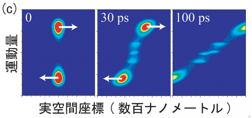 ナノ領域における光と電子の結合がもたらす新奇現象の物理