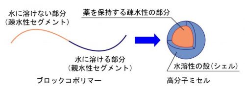 機能性高分子の精密合成と医工学応用