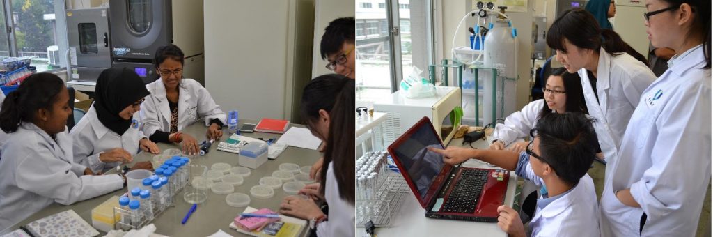 （左）微生物の実験　　　（右）水質分析の実験