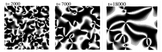 秩序と無秩序の数理と応用情報学