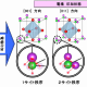 いかなる方向にもよく伸びるセラミック材料のしくみを解明 ～立方晶のように見えるのになぜ優れた圧電性をもつのか？～