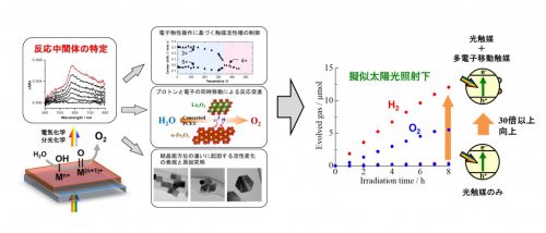 人工光合成の実現に向けた高活性触媒の開発