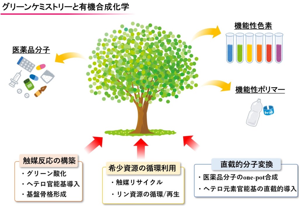 元素の未知なる反応性を引き出す有機合成反応の開発とグリーンケミストリー