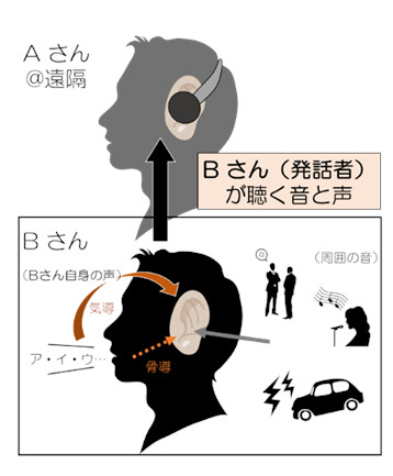 ヒトの聴覚・発話のメカニズムを理解し、 支援する技術の研究
